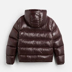 Glossy Nylon Winter Puffer